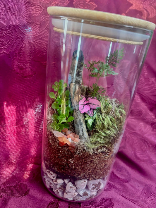 Living terrarium