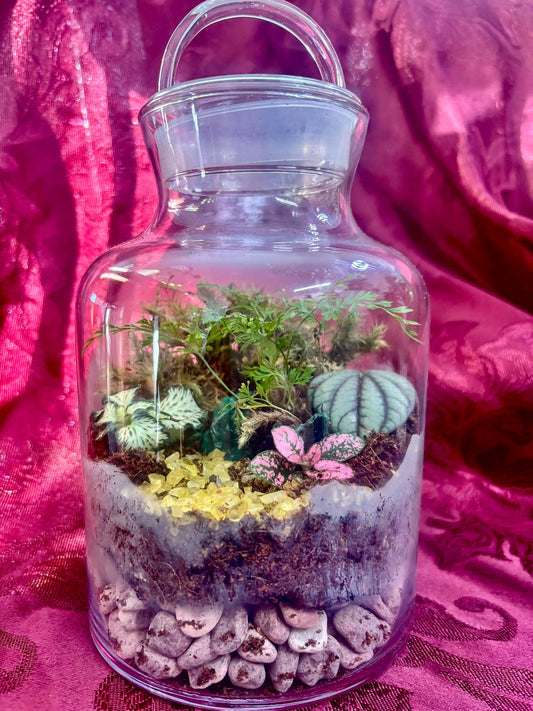 Living Terrarium